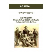 დიმიტრი შველიძე - საქართველოს სოციალისტ-ფედერალისტთა სარევოლუციო პარტია